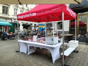 Faltzelt-Pavillon 2x3_Magrutsch